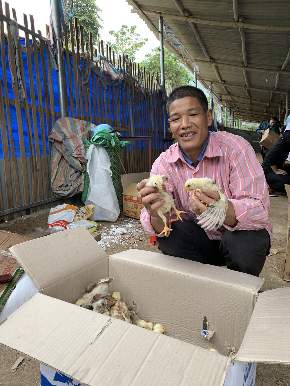 Hành trình “bắt gà”