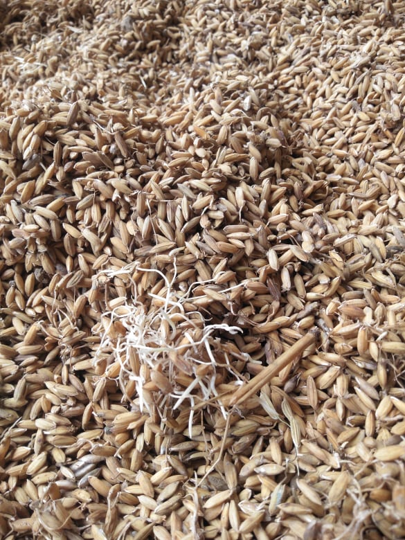 Tháng Mười kinh hoàng